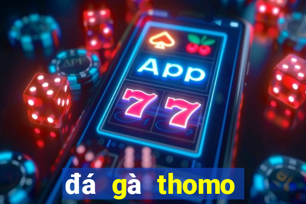 đá gà thomo hôm nay trận 23