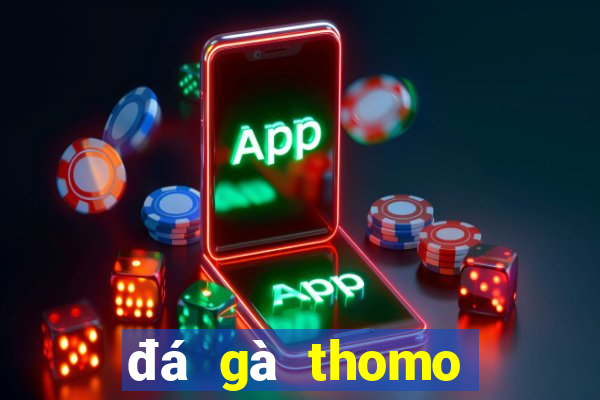 đá gà thomo hôm nay trận 23