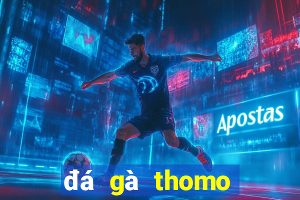 đá gà thomo hôm nay trận 23