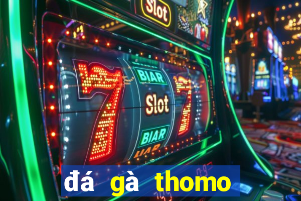 đá gà thomo hôm nay trận 23