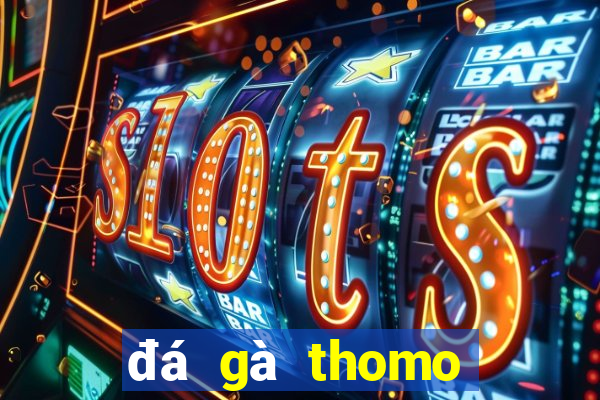 đá gà thomo hôm nay trận 23