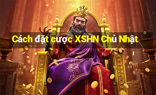 Cách đặt cược XSHN Chủ Nhật