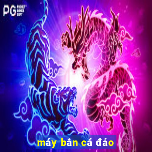 máy bắn cá đảo