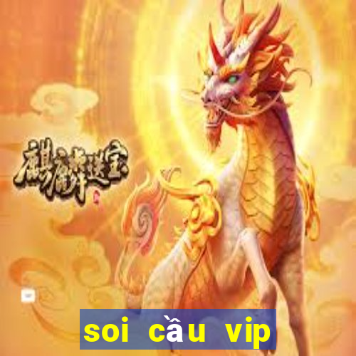 soi cầu vip miền nam