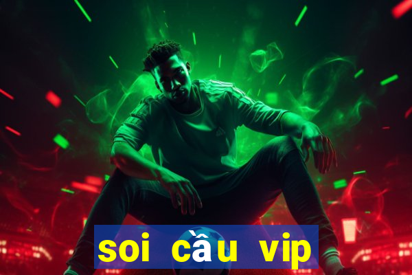 soi cầu vip miền nam