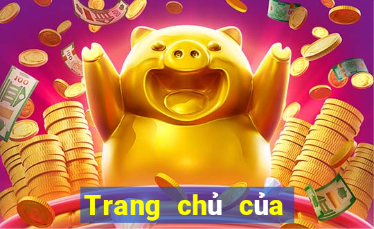 Trang chủ của 91 giải trí