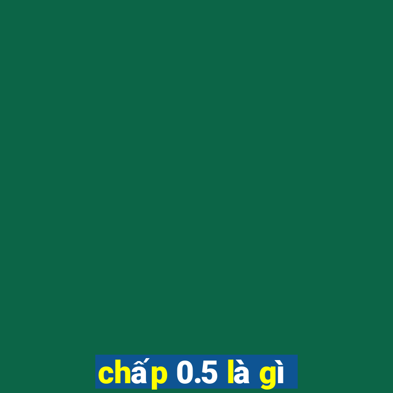 chấp 0.5 là gì