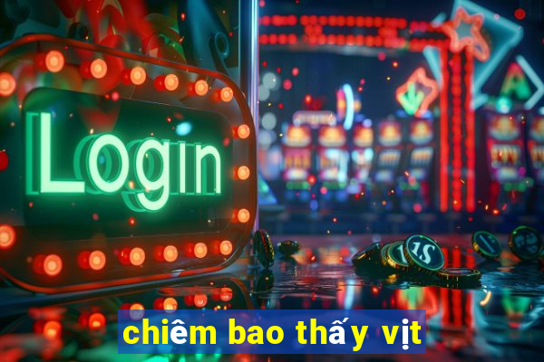 chiêm bao thấy vịt