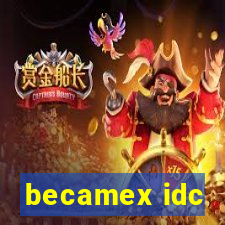 becamex idc