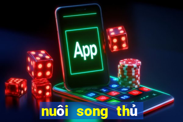 nuôi song thủ lô khung 3 ngày