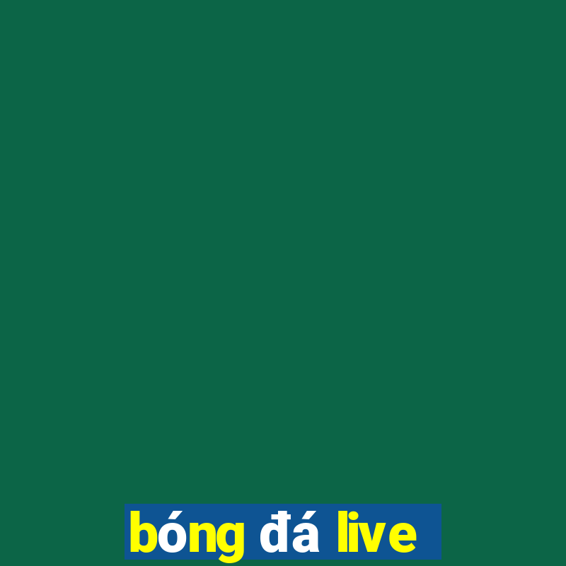 bóng đá live