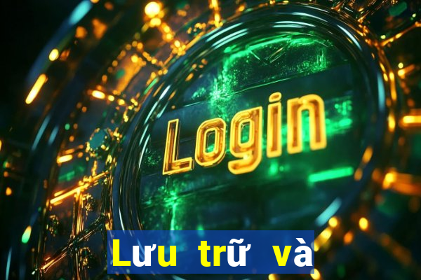 Lưu trữ và cung cấp mạng