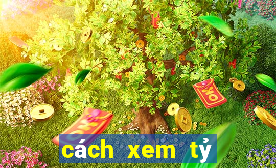 cách xem tỷ lệ kèo bóng đá