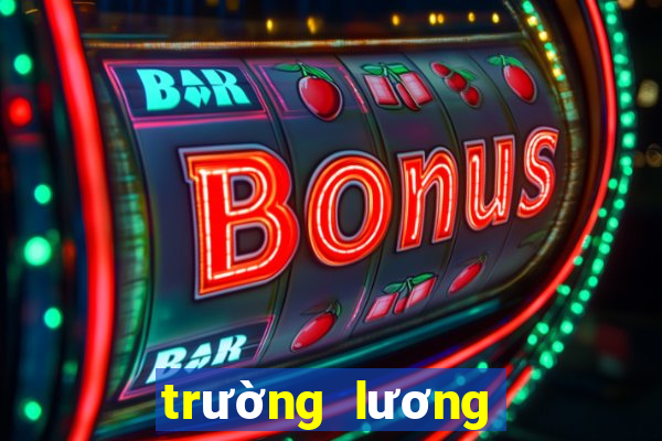 trường lương thế vinh quận 7