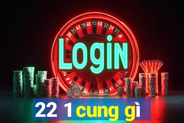 22 1 cung gì