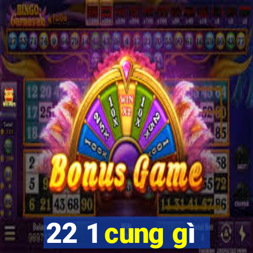 22 1 cung gì