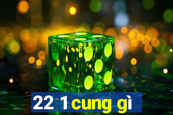 22 1 cung gì