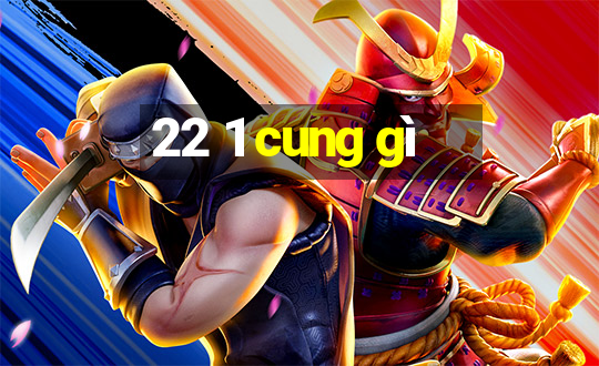 22 1 cung gì