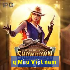 q Màu Việt nam