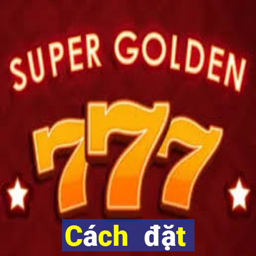 Cách đặt cược XSTN ngày 26