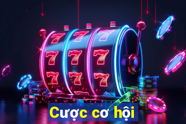 Cược cơ hội