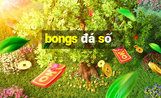 bongs đá số