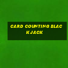 card counting blackjack