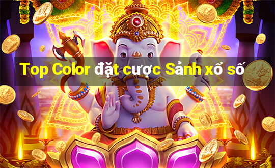 Top Color đặt cược Sảnh xổ số