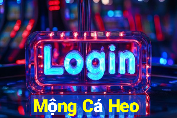 Mộng Cá Heo