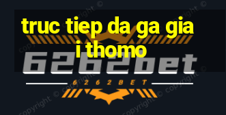 truc tiep da ga giai thomo