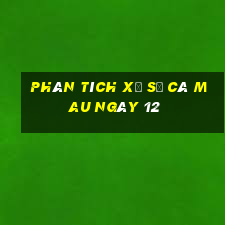 Phân tích Xổ Số Cà Mau ngày 12