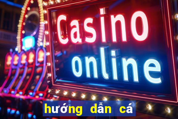 hướng dẫn cá độ bóng đá