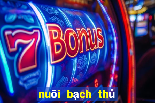 nuôi bạch thủ lô 1 ngày