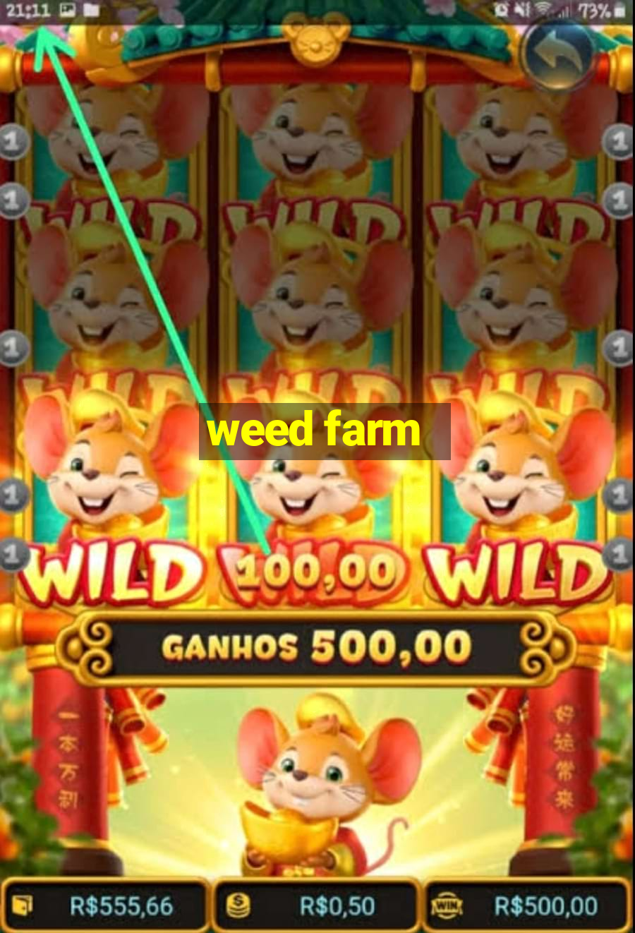 weed farm