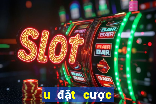 u đặt cược 1.5 màu chia