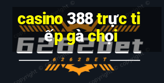 casino 388 trực tiếp gà chọi