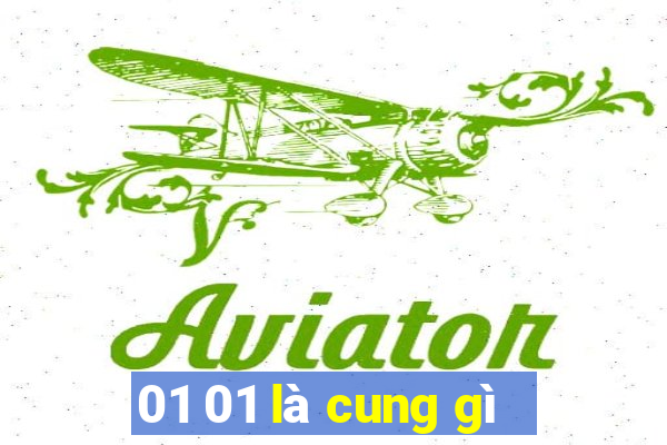 01 01 là cung gì