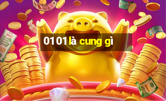 01 01 là cung gì