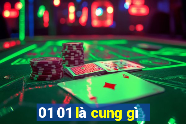 01 01 là cung gì