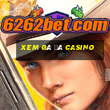 xem gà đá casino