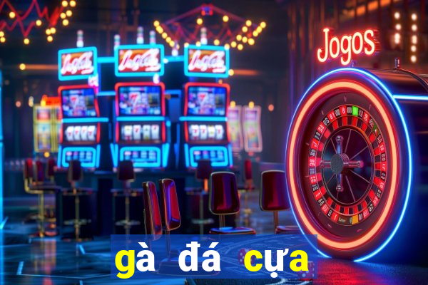 gà đá cựa sắt casino