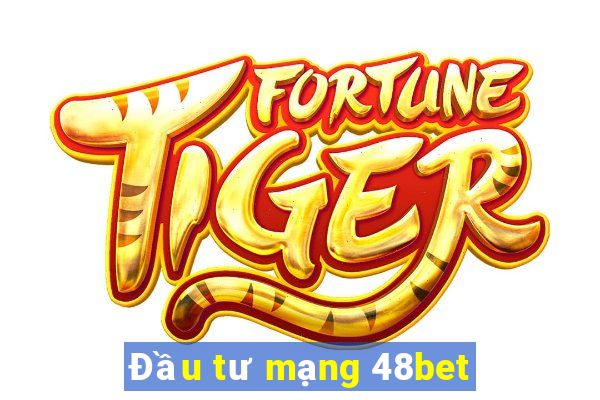 Đầu tư mạng 48bet