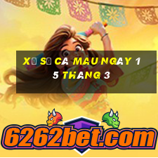 xổ số cà mau ngày 15 tháng 3