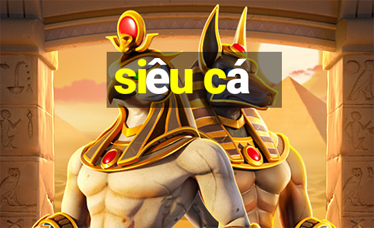 siêu cá