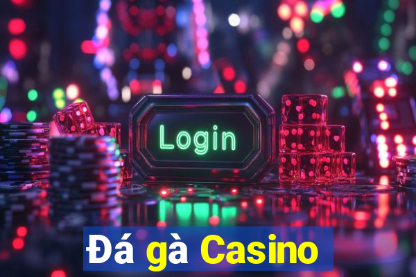 Đá gà Casino