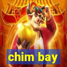 chim bay