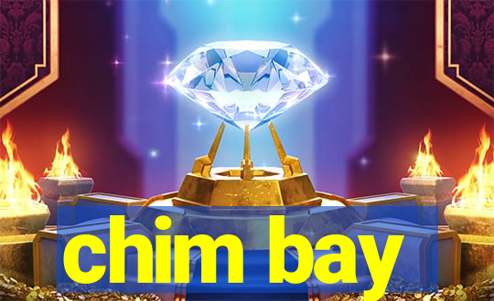 chim bay