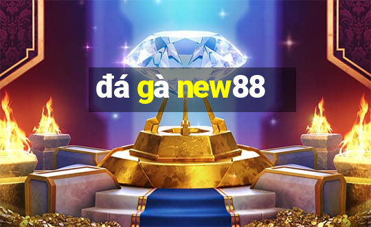 đá gà new88