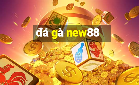 đá gà new88