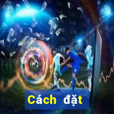 Cách đặt cược XSTT4 ngày 8